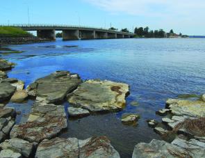 The shallow, rocky points on the southern side of Toukley bridge are ideal bream habitat, although there are a number of other similar areas around Tuggerah Lakes.
